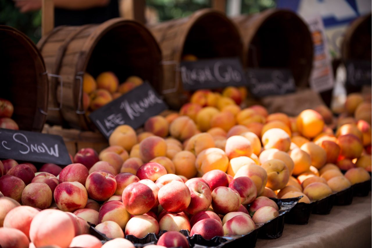 FARMERS MARKETS Discovering Parker